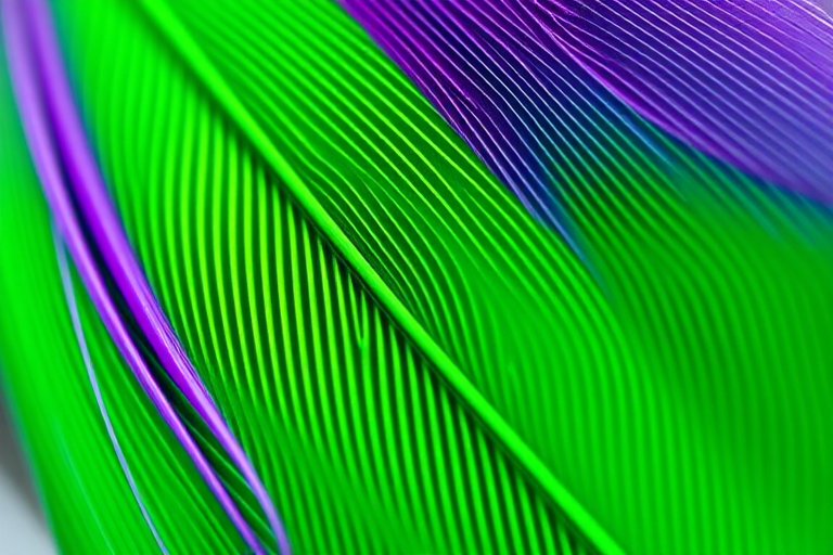 a vibrant green feather with purple accents, high resolution, macro lens, 50mm, f/2.8, 1/250 sec, natural light, clean background, sharp focus