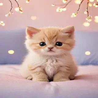 adorable wallpapers