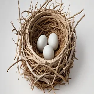 birds nest png
