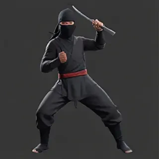ninja png