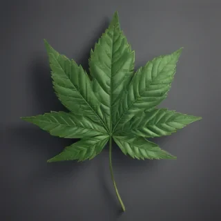 weed leaf png