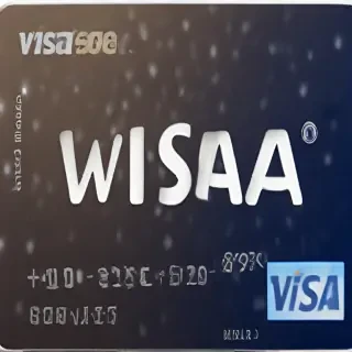visa logo