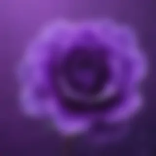 cute purple wallpaper for iphone