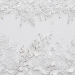 white background aesthetic