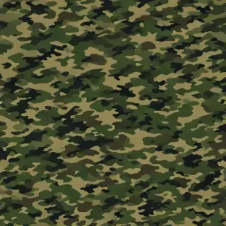camo png