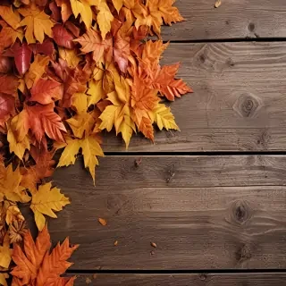 fall background wallpaper iphone