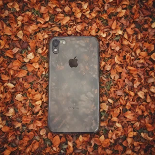 autumn background iphone