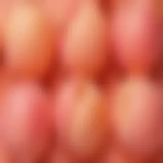 peach background wallpaper