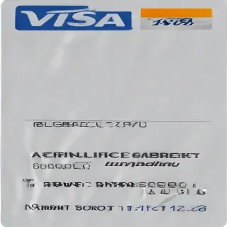visa logo