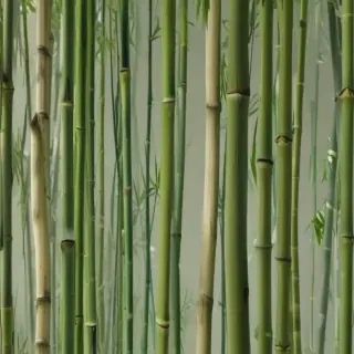bamboo png