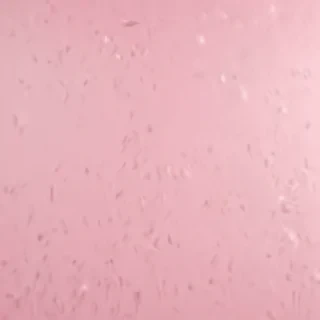 plain light pink background