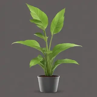 plant png clipart