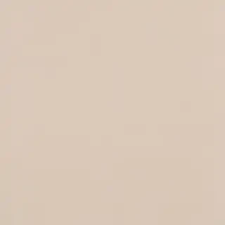 neutral aesthetic wallpaper