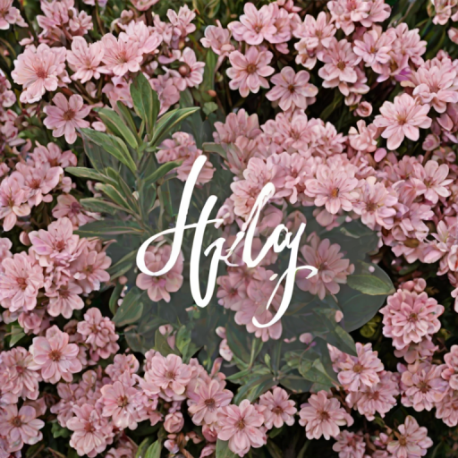 hello may images