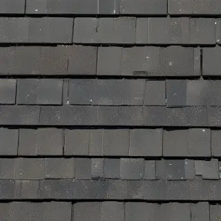 pictures of shingles