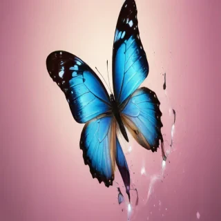iphone butterfly wallpaper