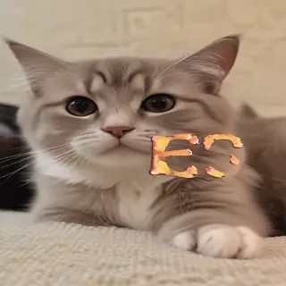 yes gif