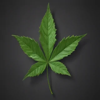 pot leaf png