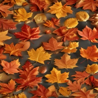 fall leaves aesthetic