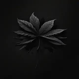 aesthetic wallpapers iphone black