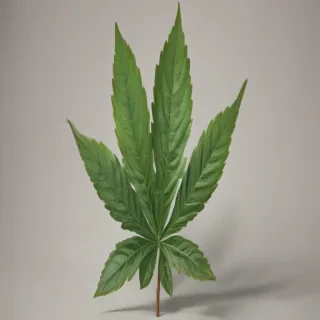 pot leaf png