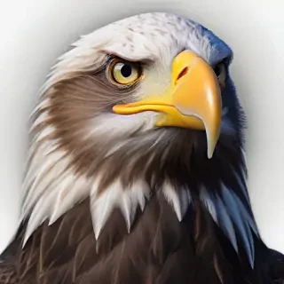 bald eagle png