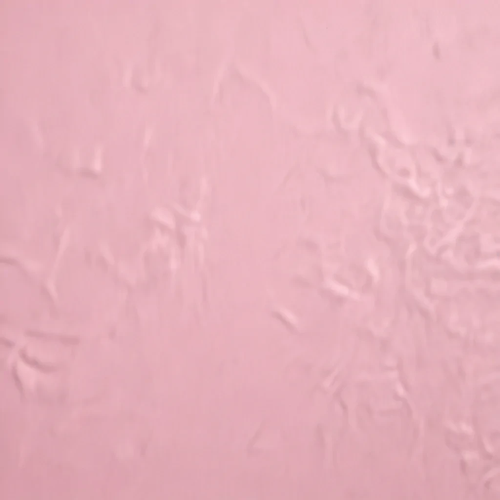 light pink plain background