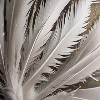 feather background
