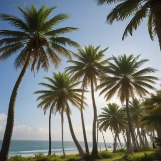 transparent palm trees