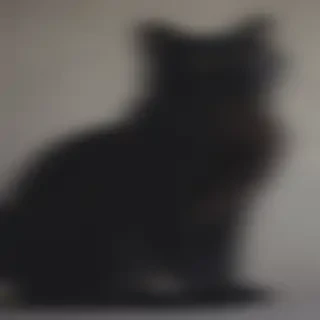 cat silhouette png