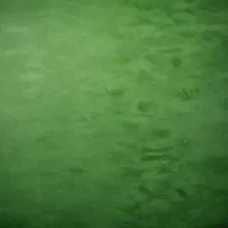textured green background