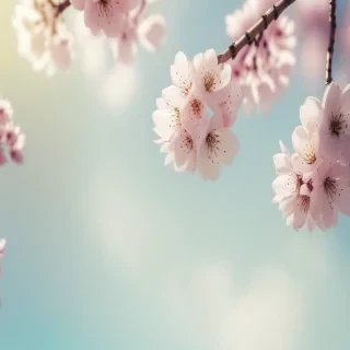 springtime iphone wallpaper