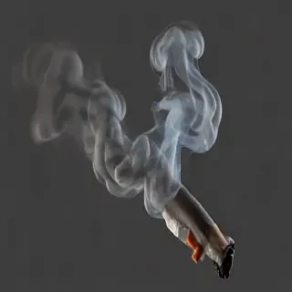 smoke no background