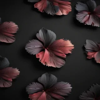 phone wallpaper black