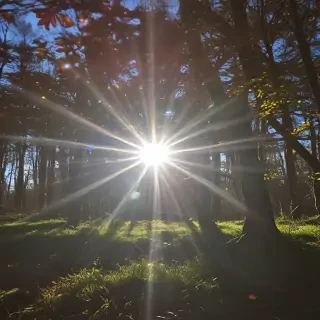 lens flare