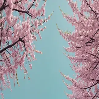 spring wallpaper aesthetic