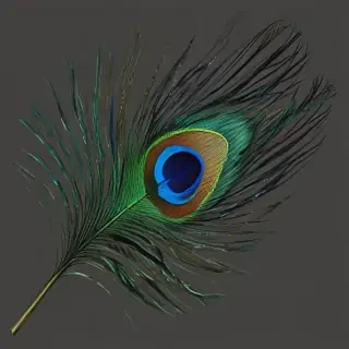 peacock feather png