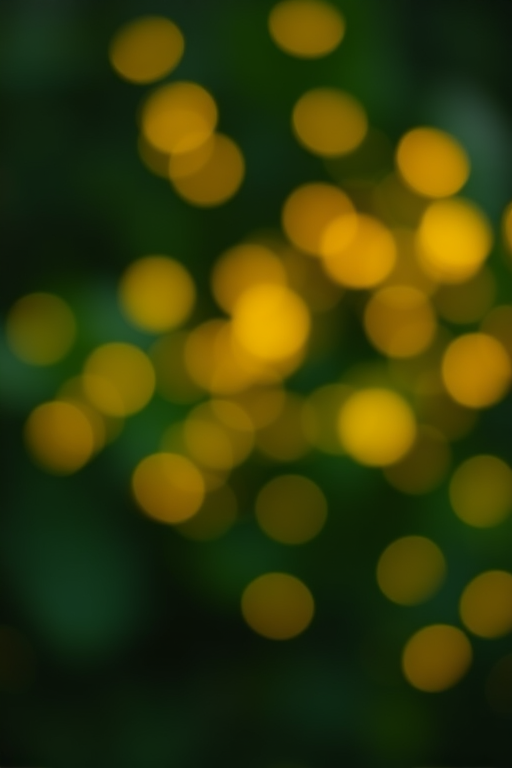 Generate a soft-focus background with a bokeh effect of yellow and green glowing orbs against a dark green backdrop, camera settings f/2.8, ISO 200, shutter speed 1/60, view from a slightly elevated angle, using a DSLR camera with a 50mm lens for enhanced depth of field.