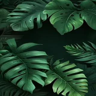 aesthetic green background