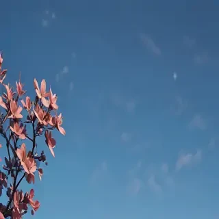 blue bg aesthetic