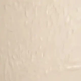 ivory background