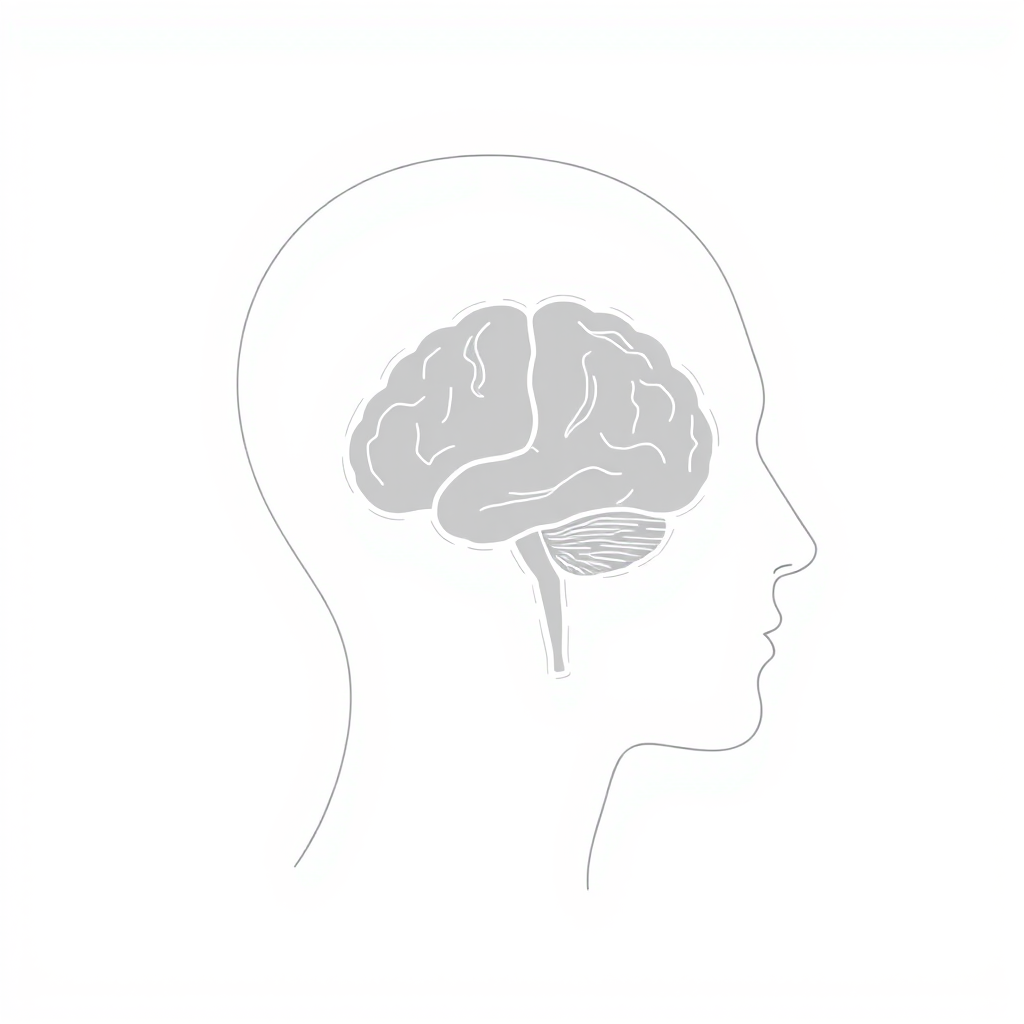 Create a clean vector illustration of a human profile with a brain outline inside, using a high-resolution setting of 300 DPI, captured from a side view using a digital drawing tablet with a smooth brush style.