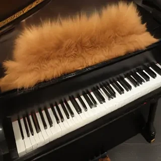 fur elise