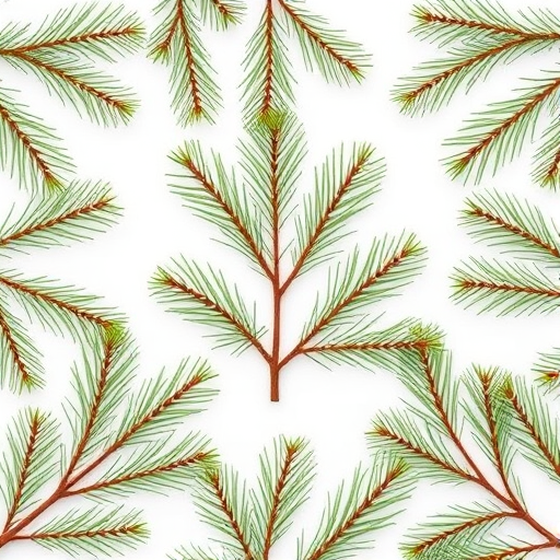 Generate a high-resolution pattern featuring various pine tree branches on a clean white background, use a DSLR camera with a 50mm lens, aperture set to f/8 for sharpness, ISO 100 for clarity, and soft natural lighting to enhance the vibrancy of the green needles.