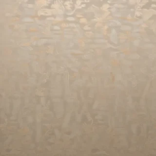 plain wallpaper