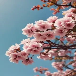 neutral iphone backgrounds