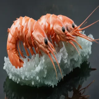 shrimp png