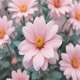 pastel aesthetic flower wallpaper