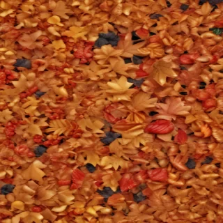 autumn leaves png