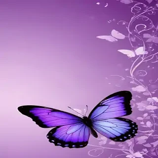 purple wallpapers butterfly